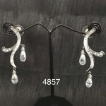 Western Design Stylish Earring